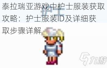 泰拉瑞亚游戏中护士服装获取攻略：护士服装ID及详细获取步骤详解