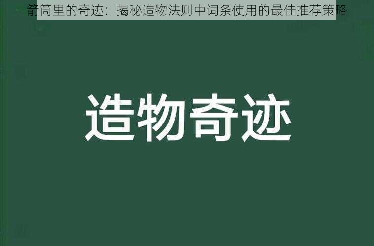 箭筒里的奇迹：揭秘造物法则中词条使用的最佳推荐策略