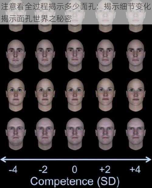 注意看全过程揭示多少面孔：揭示细节变化揭示面孔世界之秘密